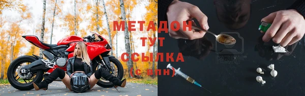 стаф Инта