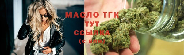 крисы Каменногорск