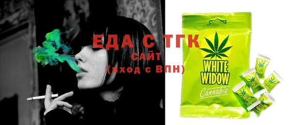 стаф Инта