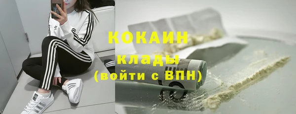 стафф Каменка