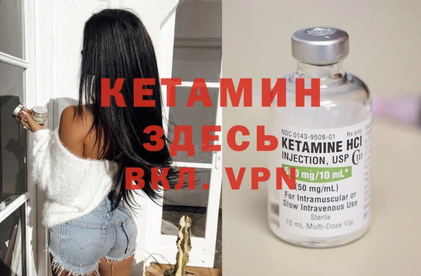 крисы Каменногорск