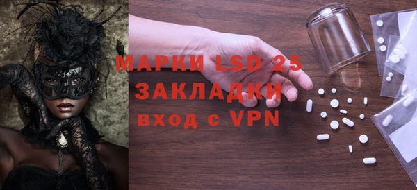 стаф Инта