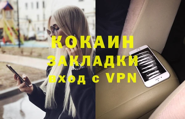стаф Инта