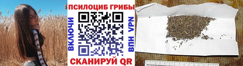 Псилоцибиновые грибы мицелий продажа наркотиков Кольчугино
