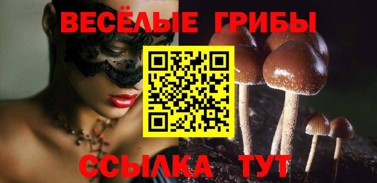 Галлюциногенные грибы мухоморы  Вход с VPN  Кольчугино 